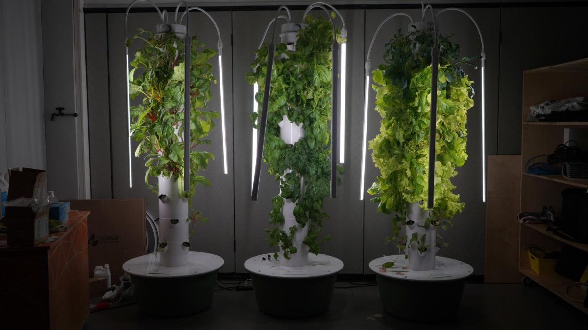 STVM Tower Gardens