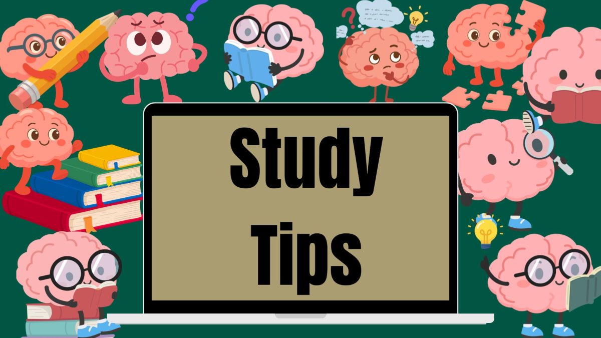 Study Tips